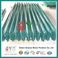 W" "D" Type Galvanized Palisade Fence (Factory, ISO9001: 2008)